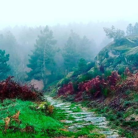 São Martinho de Antas A Tintureira 빌라 외부 사진