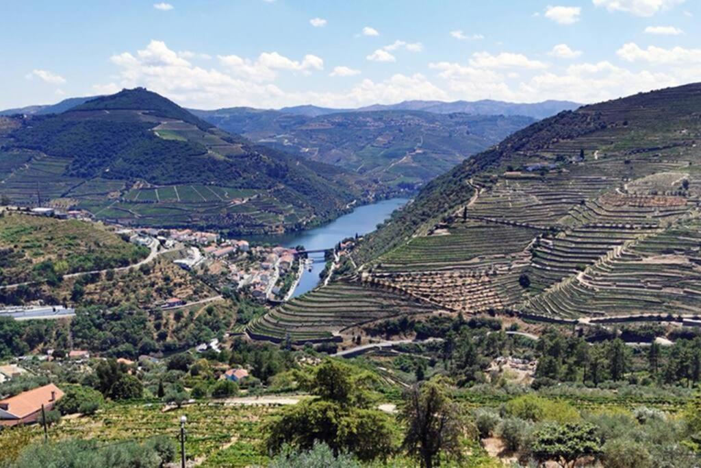 São Martinho de Antas A Tintureira 빌라 외부 사진