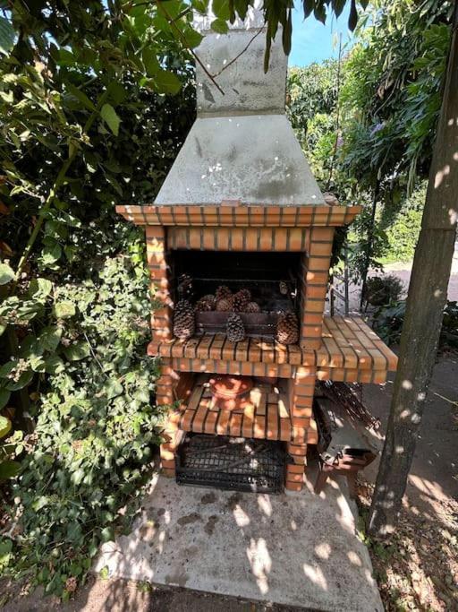 São Martinho de Antas A Tintureira 빌라 외부 사진
