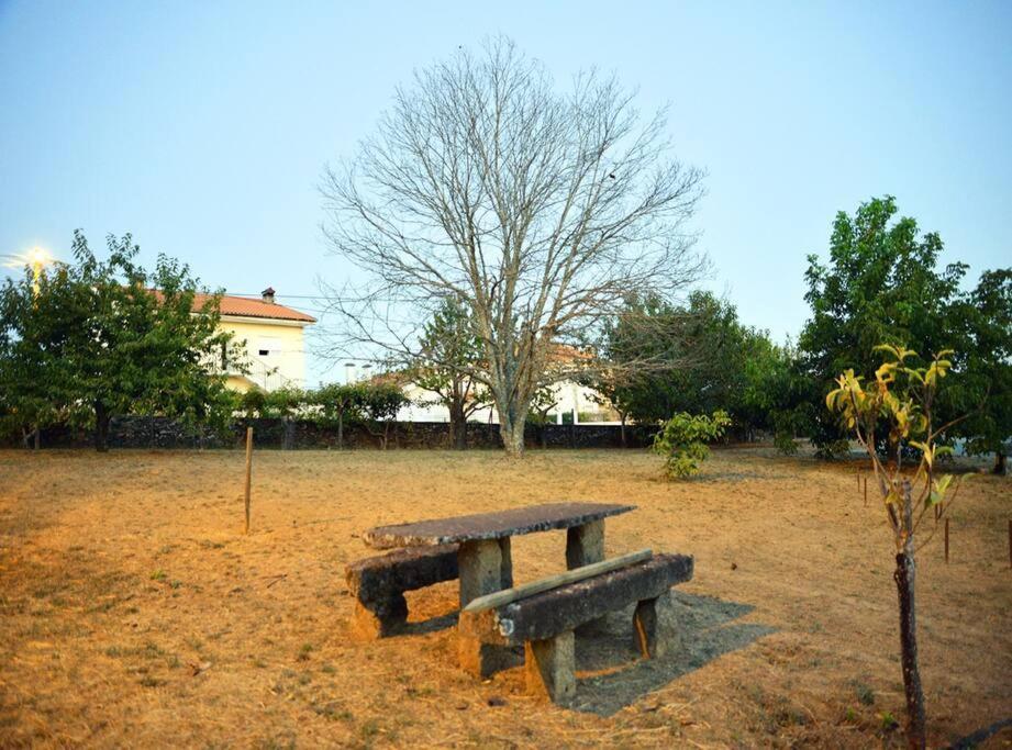 São Martinho de Antas A Tintureira 빌라 외부 사진