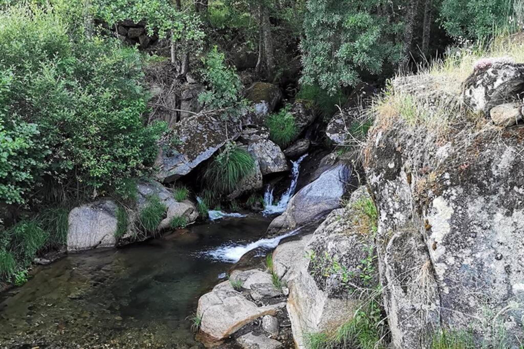 São Martinho de Antas A Tintureira 빌라 외부 사진